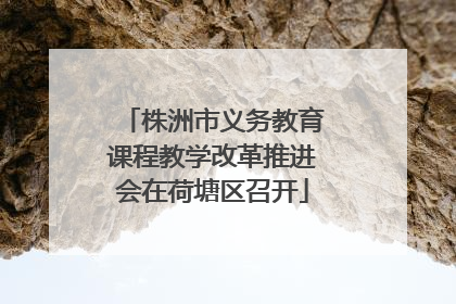 株洲市义务教育课程教学改革推进会在荷塘区召开